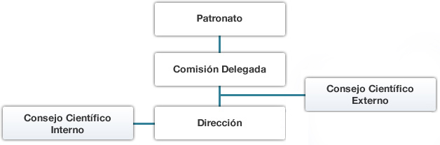 Patronato -> Comisión Permanente -> Dirección Científica -> ( Comité Científico Externo ; Comité Científico Interno