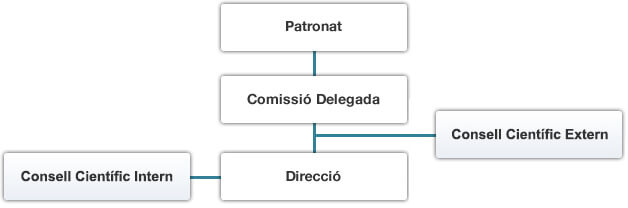 Patronat -> Comissió Permanent -> Direcció Científica -> ( Consell Científic Extern; Consell Científic Extern )